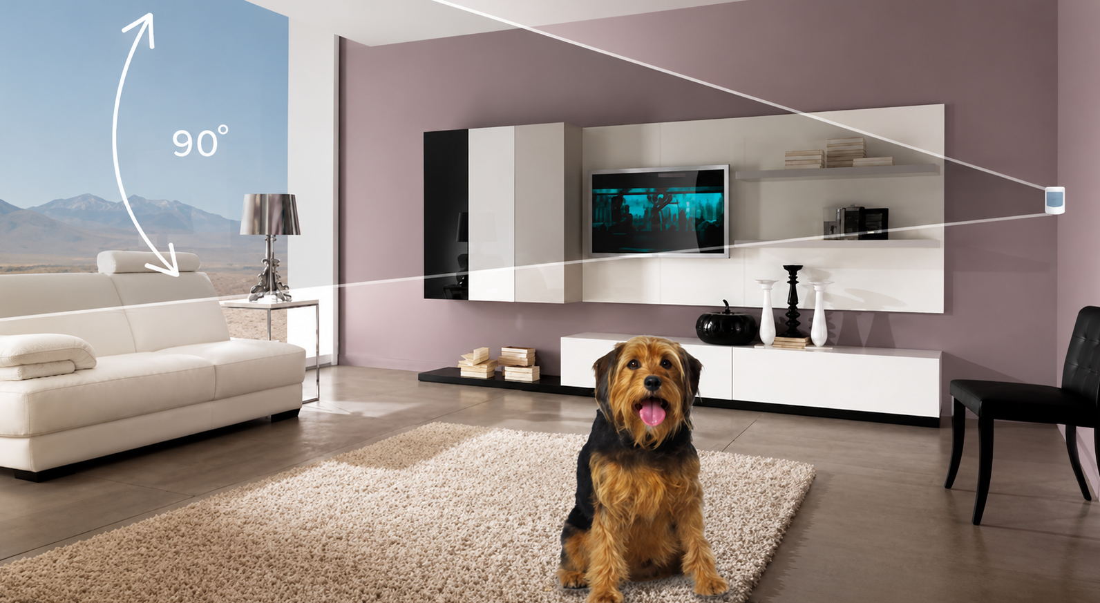 Детектор движения с защитой от животных в охранной сигнализации