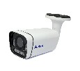 AC-HS204V - уличная мультиформатная видеокамера
